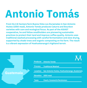 Antonio Tomás - Guatemala