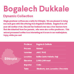 Bogalech Dukkale