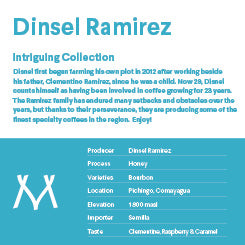 Dinsel Ramirez